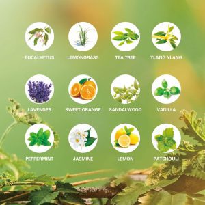 Set de Aceites Esenciales Orgánicos – Aromaterapia Consciente (6 unidades) - Imagen 5