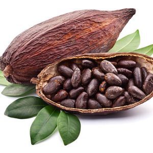 Cacao Crudo Orgánico en Polvo - Imagen 12