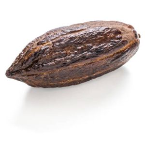 Cacao Crudo Orgánico en Polvo - Imagen 6